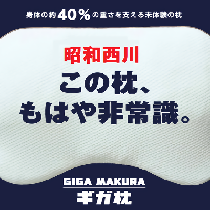 【昭和西川】ギガ枕